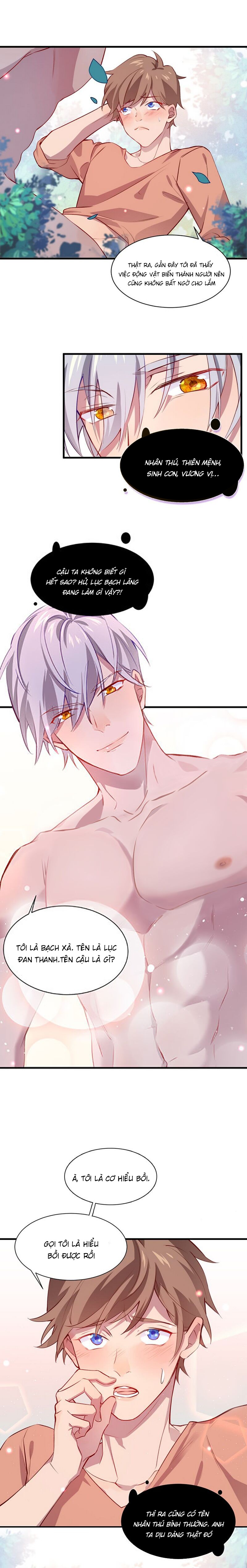 lang quân, xin đừng...! chapter 11 7