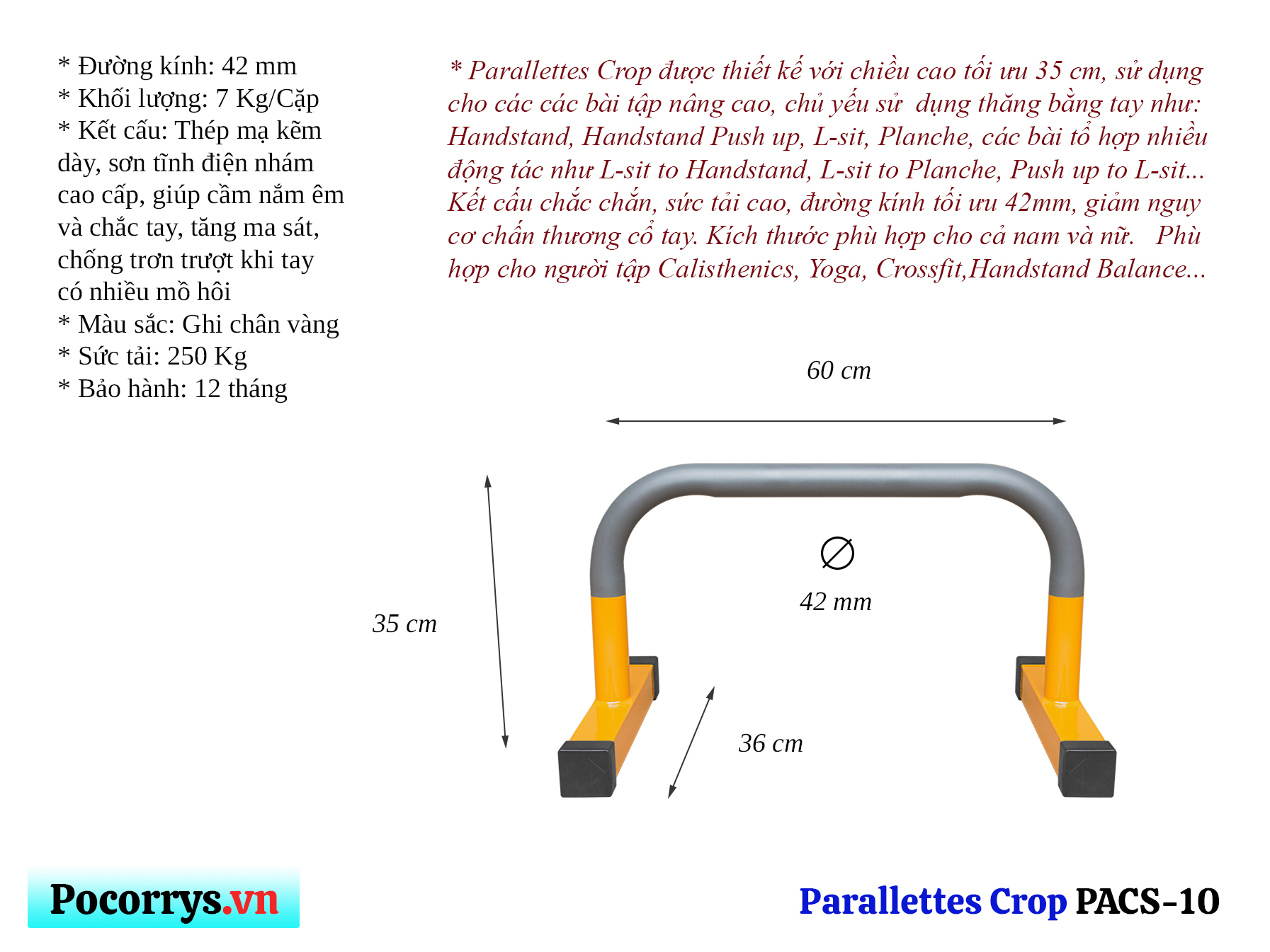 Xà kép Parallettes Crop cao 35cm, Pocorrys PACS-10, Màu ghi chân vàng