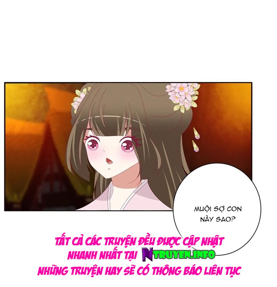 thông linh phi chapter 624 13