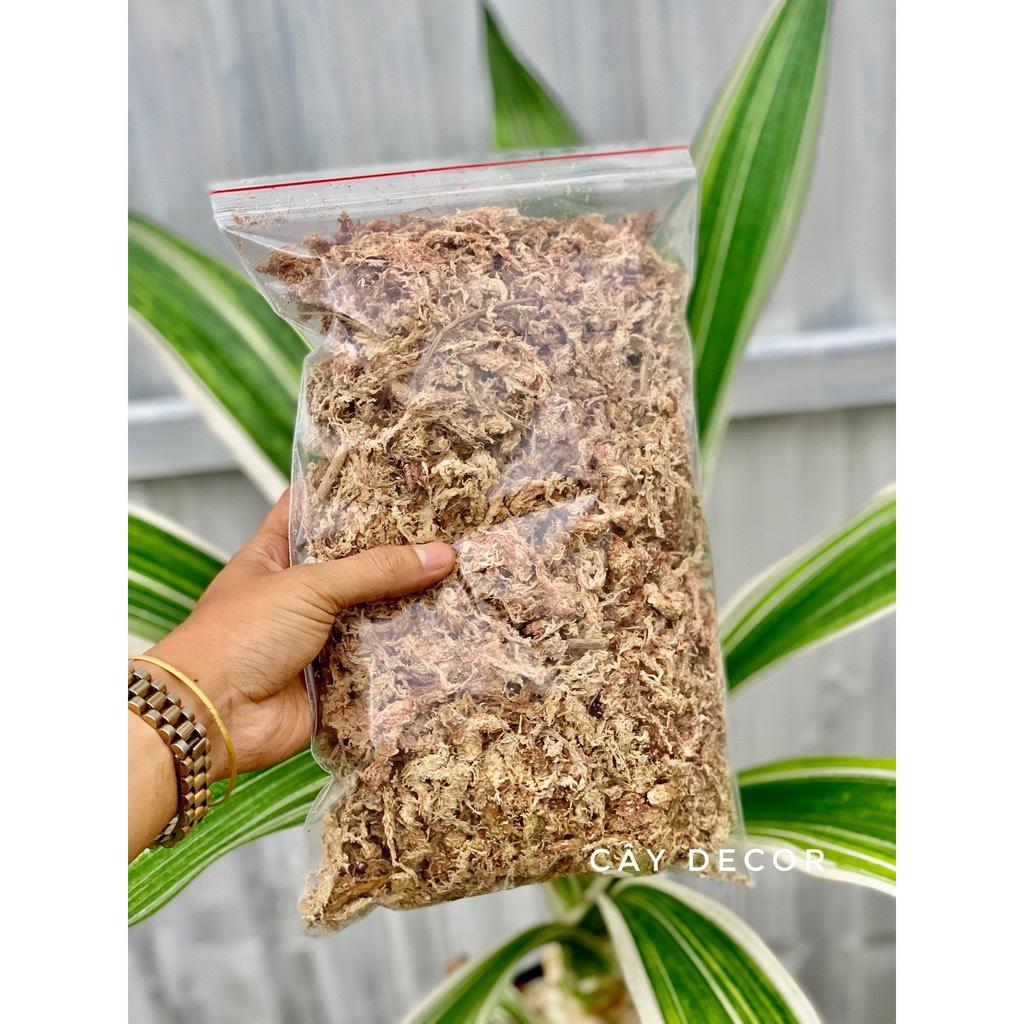 100g Rêu Sâu Chine loại 1, Rêu Nhập Khẩu, Chuyên dùng làm giá thể cho LAN, Dớn trồng lan