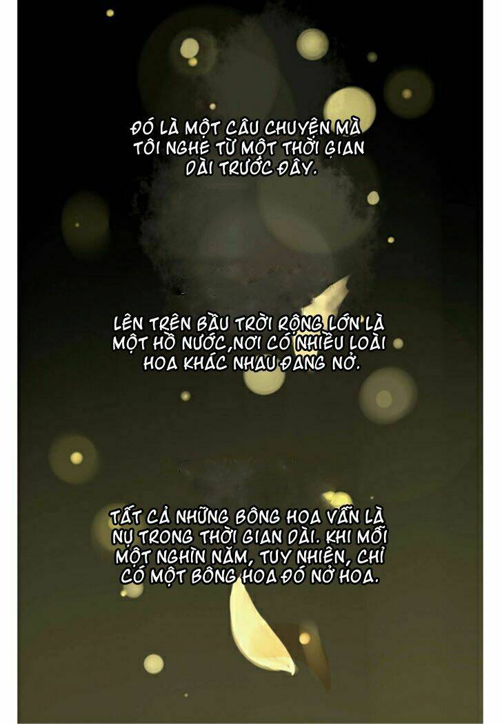 một ngàn cánh hoa chapter 1 4