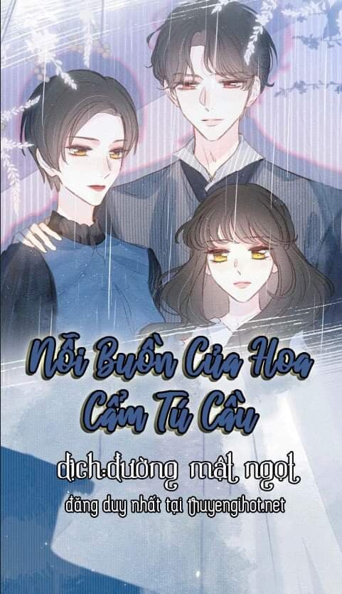 nỗi buồn của hoa cẩm tú cầu chapter 39 6