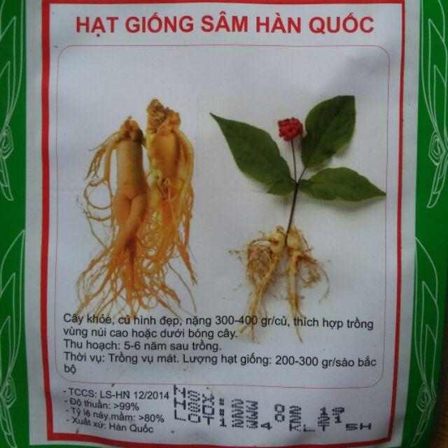 Hạt giống sâm hàn quốc gói nhỏ