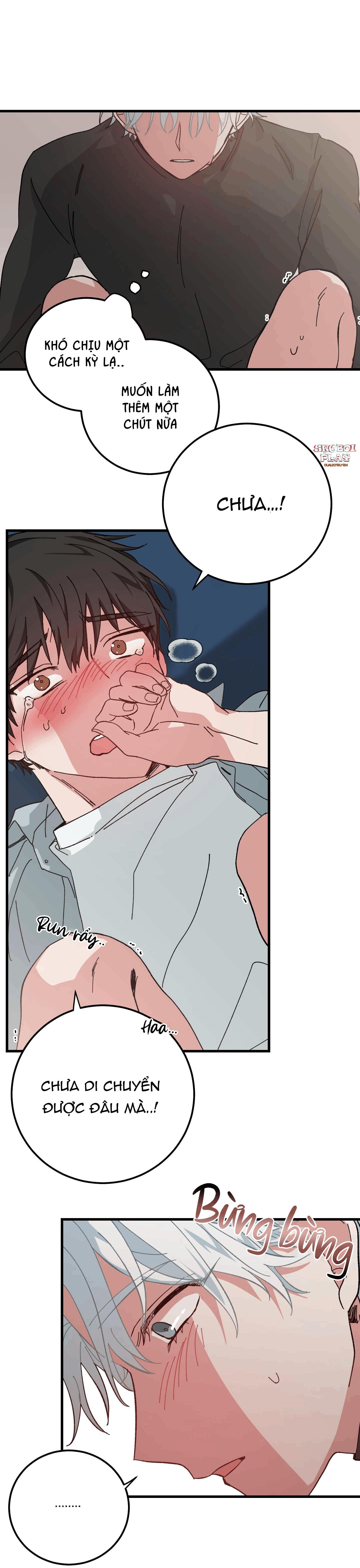 yêu tôi đi, thần hộ mệnh chapter 8 65