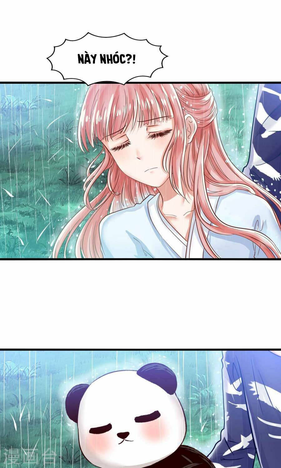 tôi bị gấu trúc nhìn trúng rồi chapter 11 36