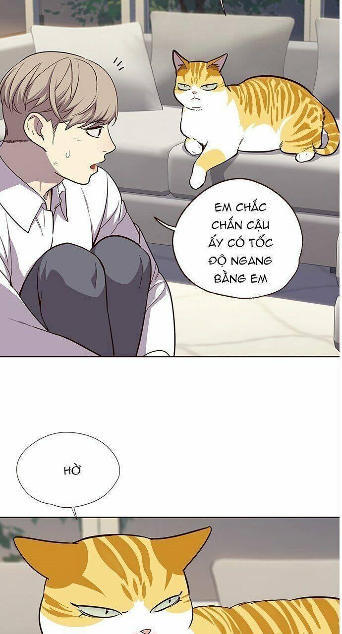 biến thân thành mèo chapter 21 43