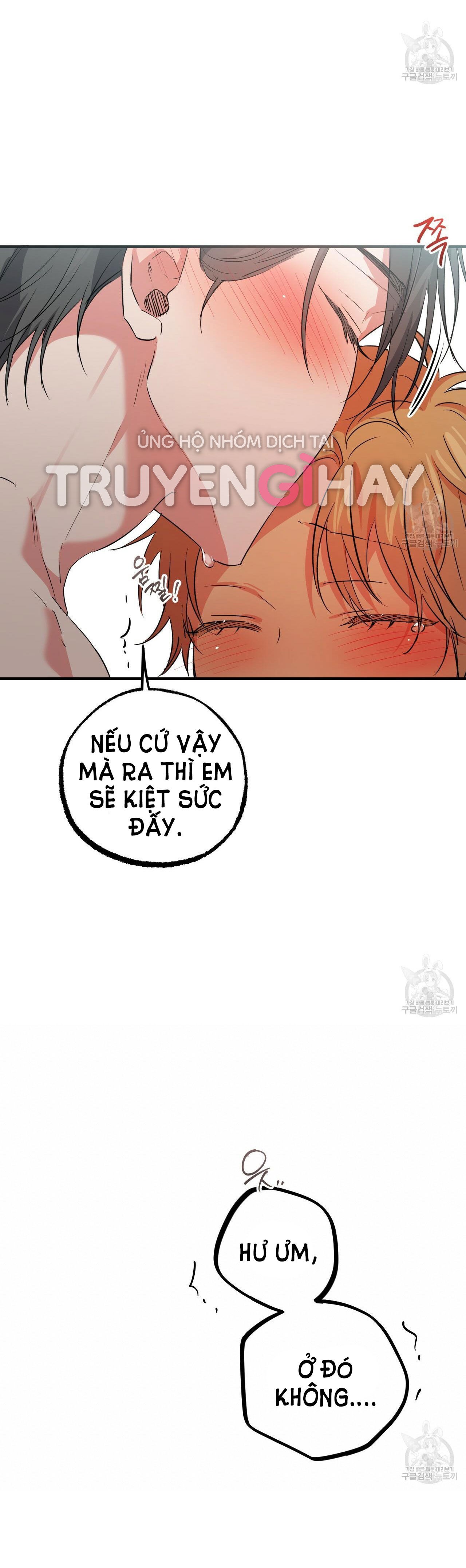 những chú thỏ của hapypy chapter 54.2 7