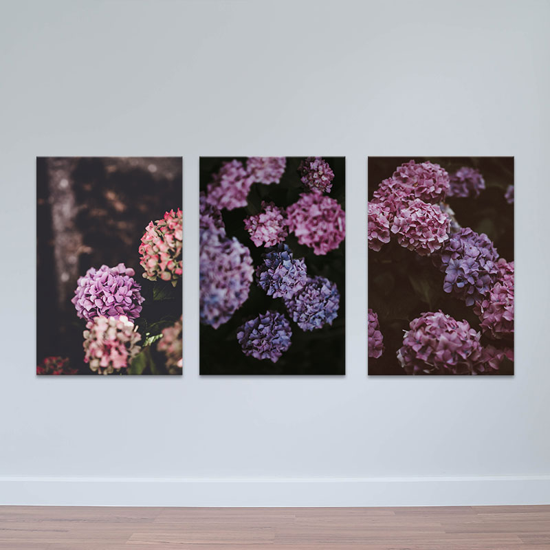 Bộ 3 tranh trang trí "Cẩm tú cầu lãng mạn" | Tranh treo tường hoa lá W3417 Canvas Có Viền