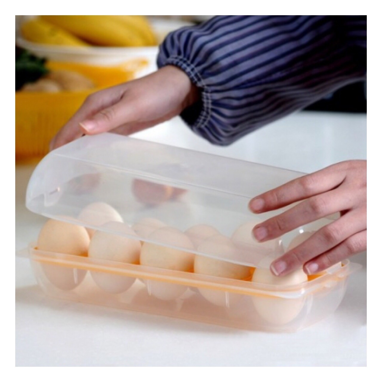 Khay đựng trứng 10 ngăn có nắp đậy Sanada Seiko
