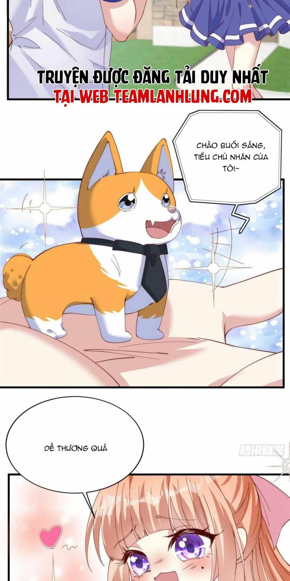 tôi được năm đại lão chiều chuộng hết nấc chapter 72 6