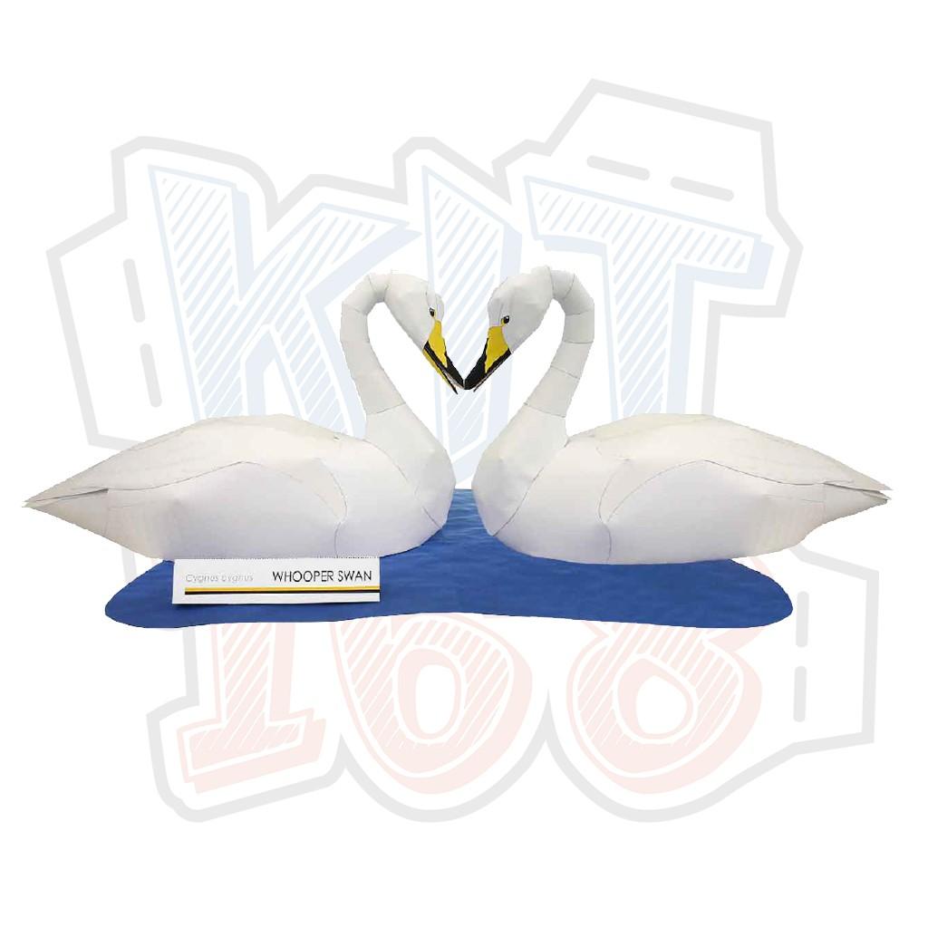 Mô hình giấy động vật chim Whooper Swan - Thiên nga