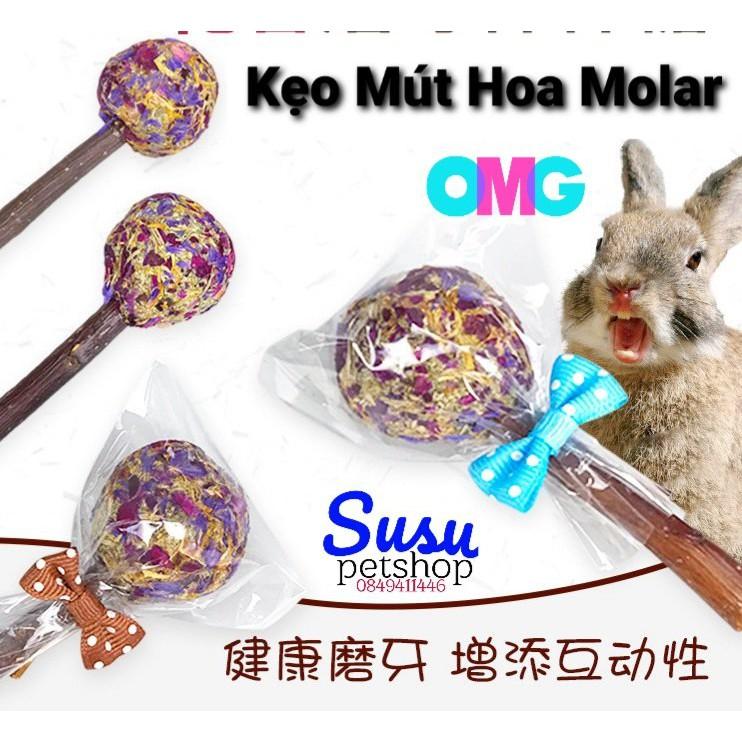 Que Cỏ Hoa cho Thỏ, Bọ và Chinchilla