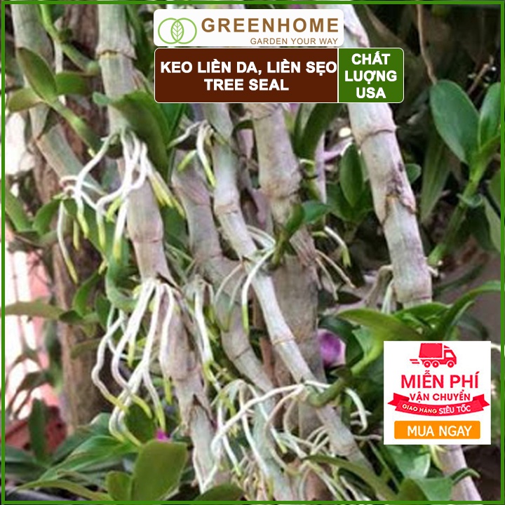 Keo liền sẹo cho cây Tree Seal, chai 100gr, hỗ trợ chiết cành, tạo dáng, bảo vệ vết cắt |Greenhome