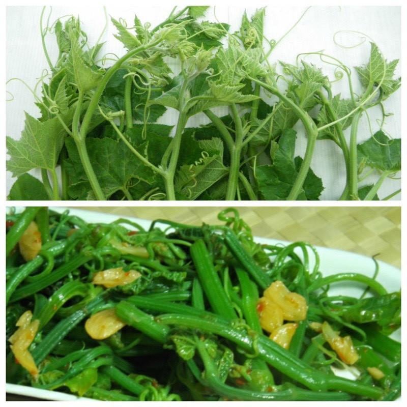 Hạt giống bí siêu ngọn F1 dễ trồng năng suất cao chống sâu bệnh cửa hàng hạt giống uy tín