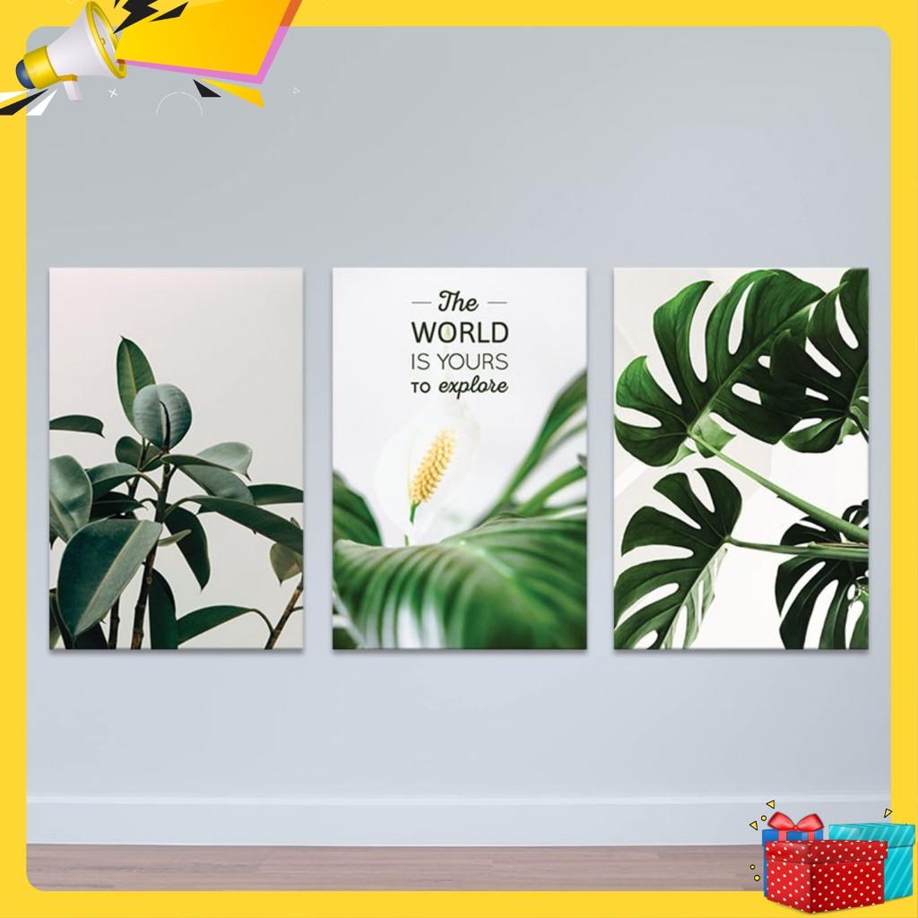 Bộ 3 tranh trang trí “Thiên nhiên tươi đẹp” | Tranh treo tường hoa lá W3397