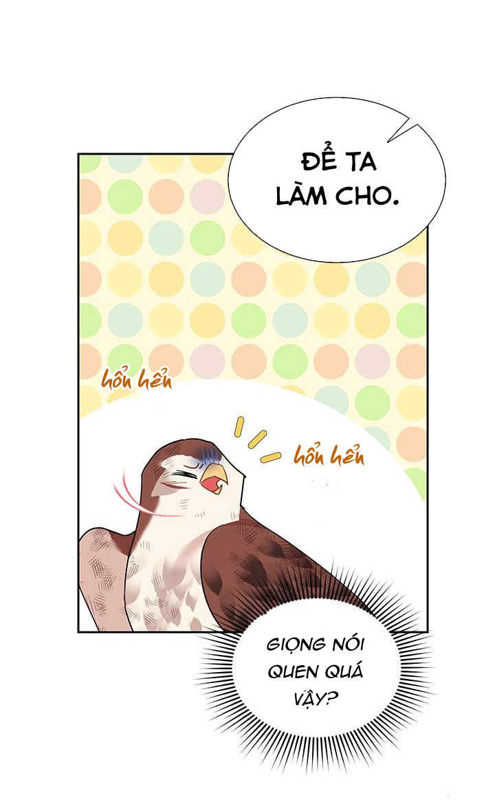 công chúa của loài chim chapter 12 40