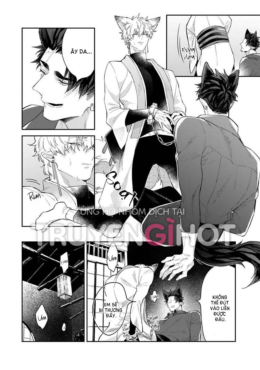 cô dâu thú nhân chapter 2 28