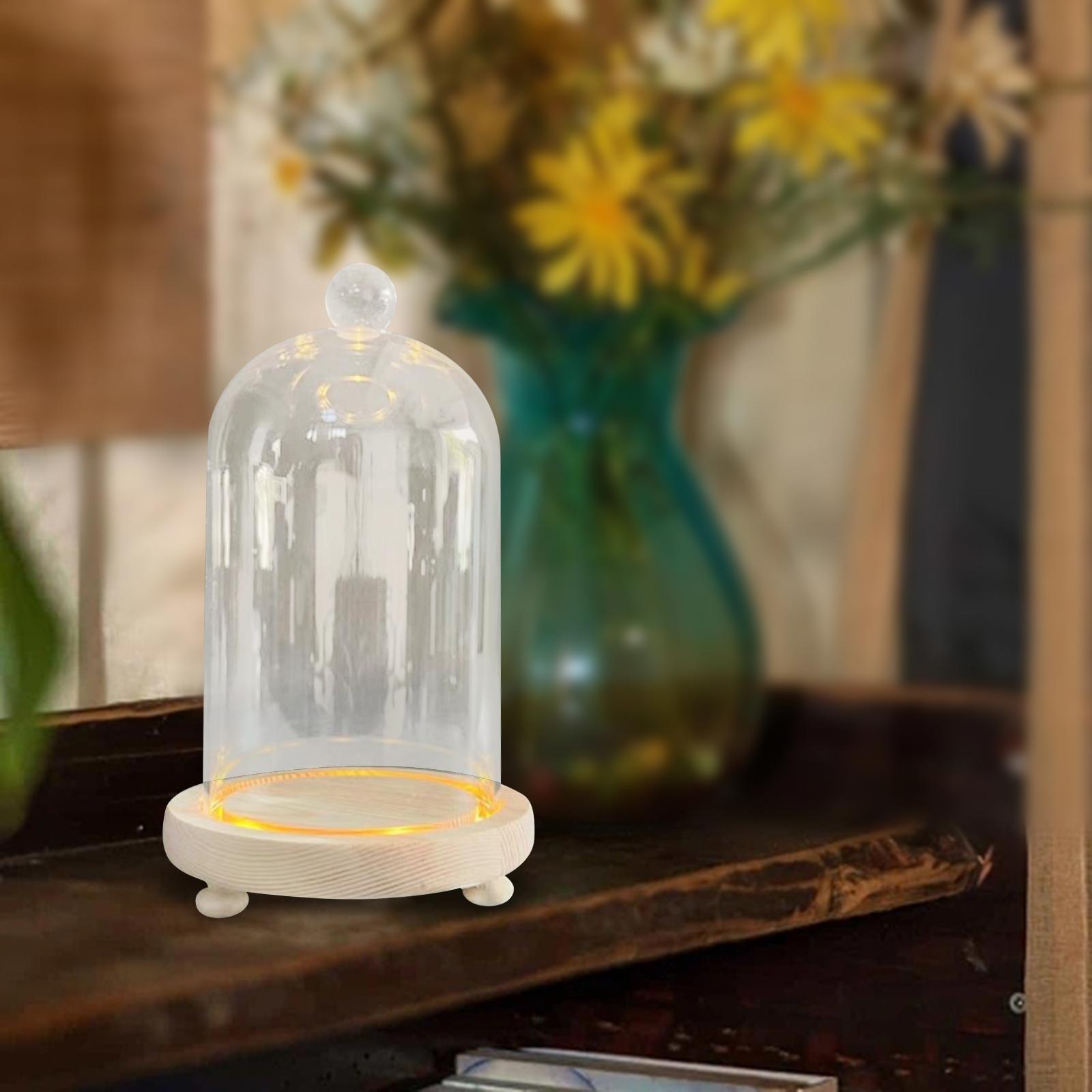 Glass Cloche Dome Eternal Flowers Glass Domes Showcase Transparent Dome Cloche
