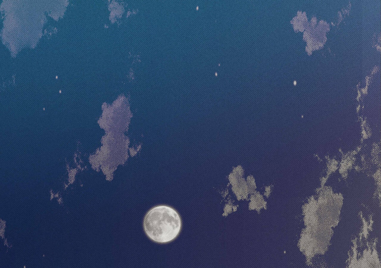 chàng giao pizza và gold palace chapter 2 56