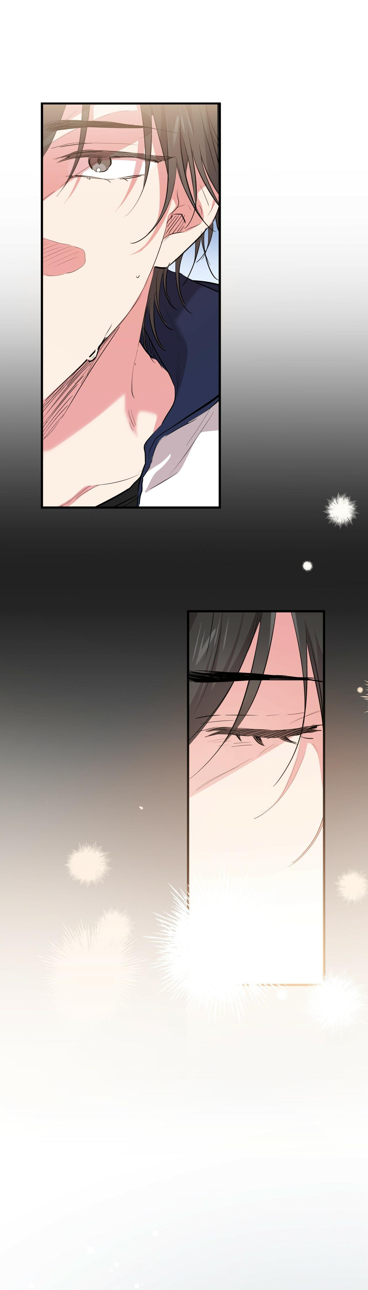 những chú thỏ của hapypy chapter 19 42