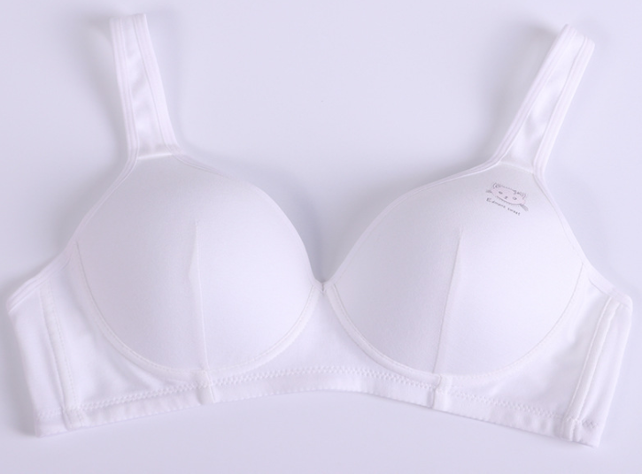 Bra / Áo Ngực Cotton Nữ Sinh Đầu Mèo Xuất Đông Âu  Hàng Loại Đẹp.