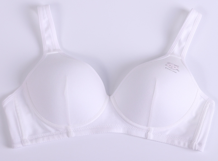 Hình ảnh Bra / Áo Ngực Cotton Nữ Sinh Đầu Mèo Xuất Đông Âu ( AL : 237 ) Hàng Loại Đẹp.