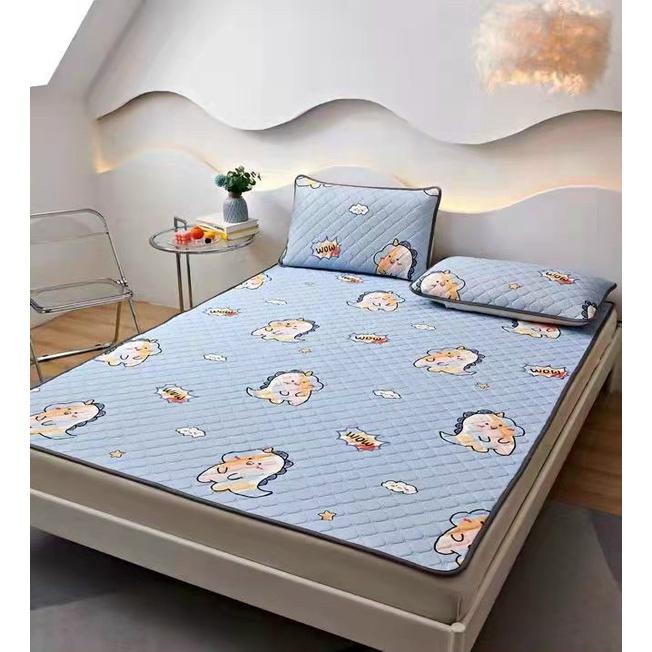 Chiếu Điều Hoà Cao Su Non Mát Lạnh 2D Hàng Nhập Khẩu Cực Đẹp - Mát Mềm Mịn Giá Rẻ - bedding.1210