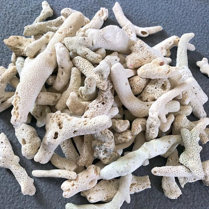 San Hô Lọc Nước Hồ Cá - Túi 03 Kg