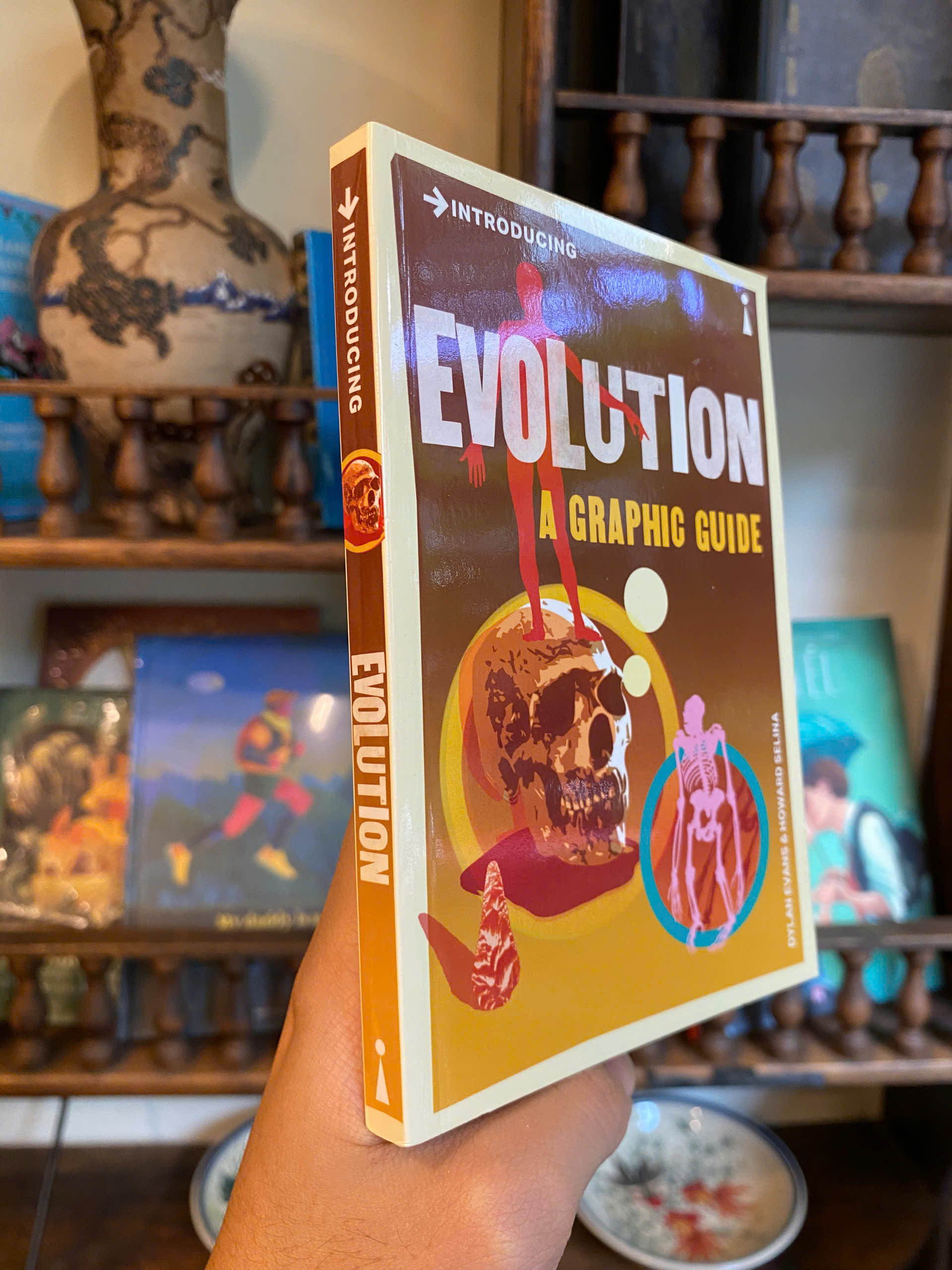 Sách - Introducing Evolution A Graphic Guide by Dylan Evans - Icon Books Graphic Guide Series