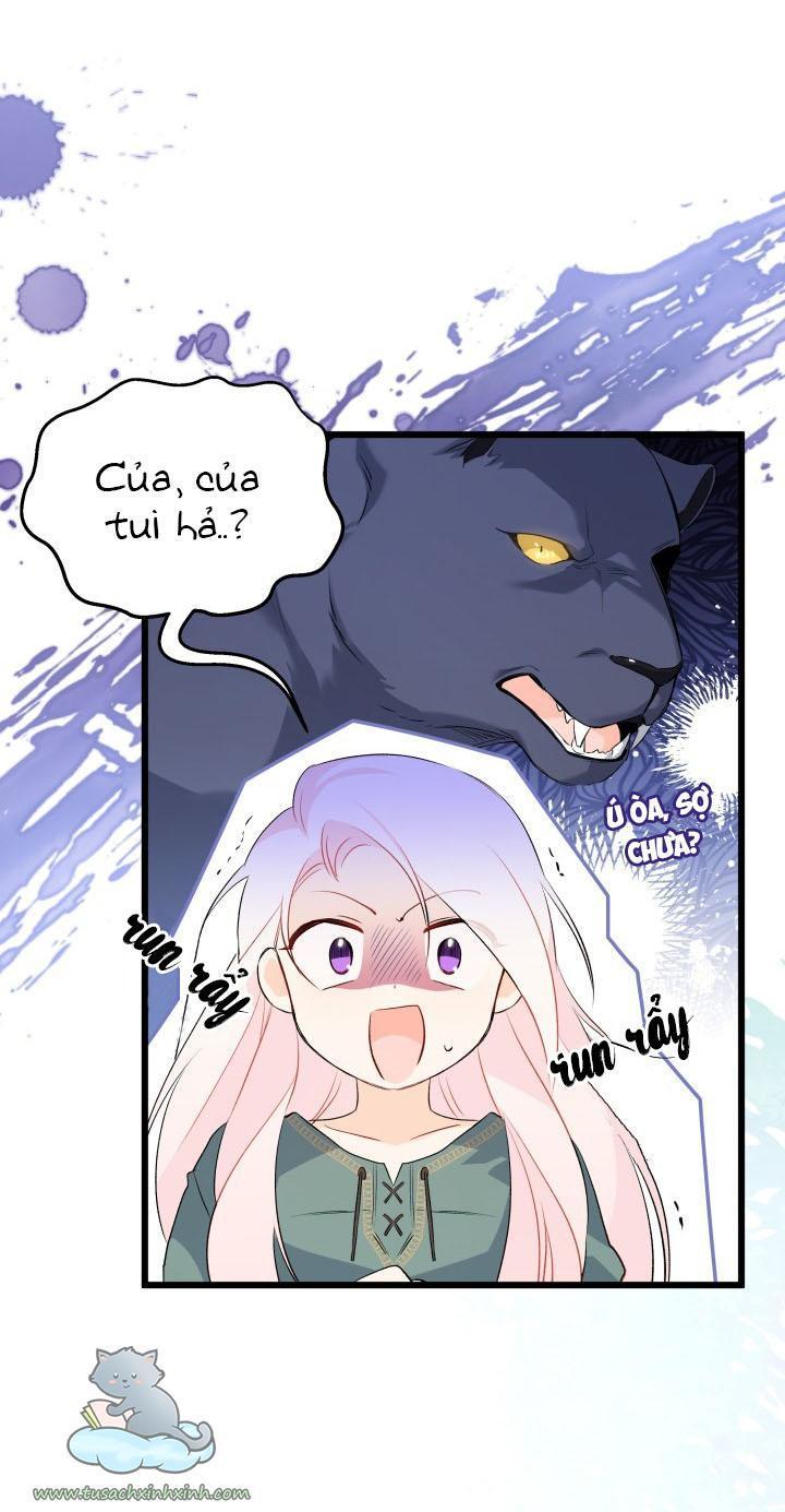 quan hệ cộng sinh giữa báo đen và thỏ trắng chapter 50 71