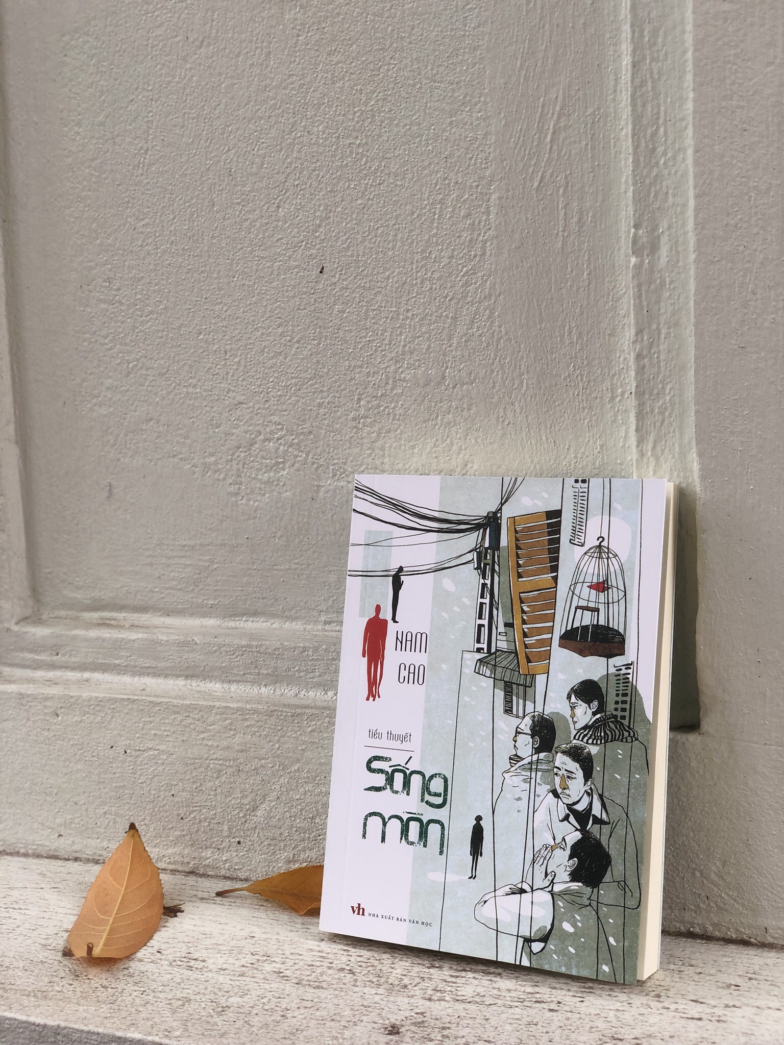 Sách: Tiểu Thuyết Sống Mòn