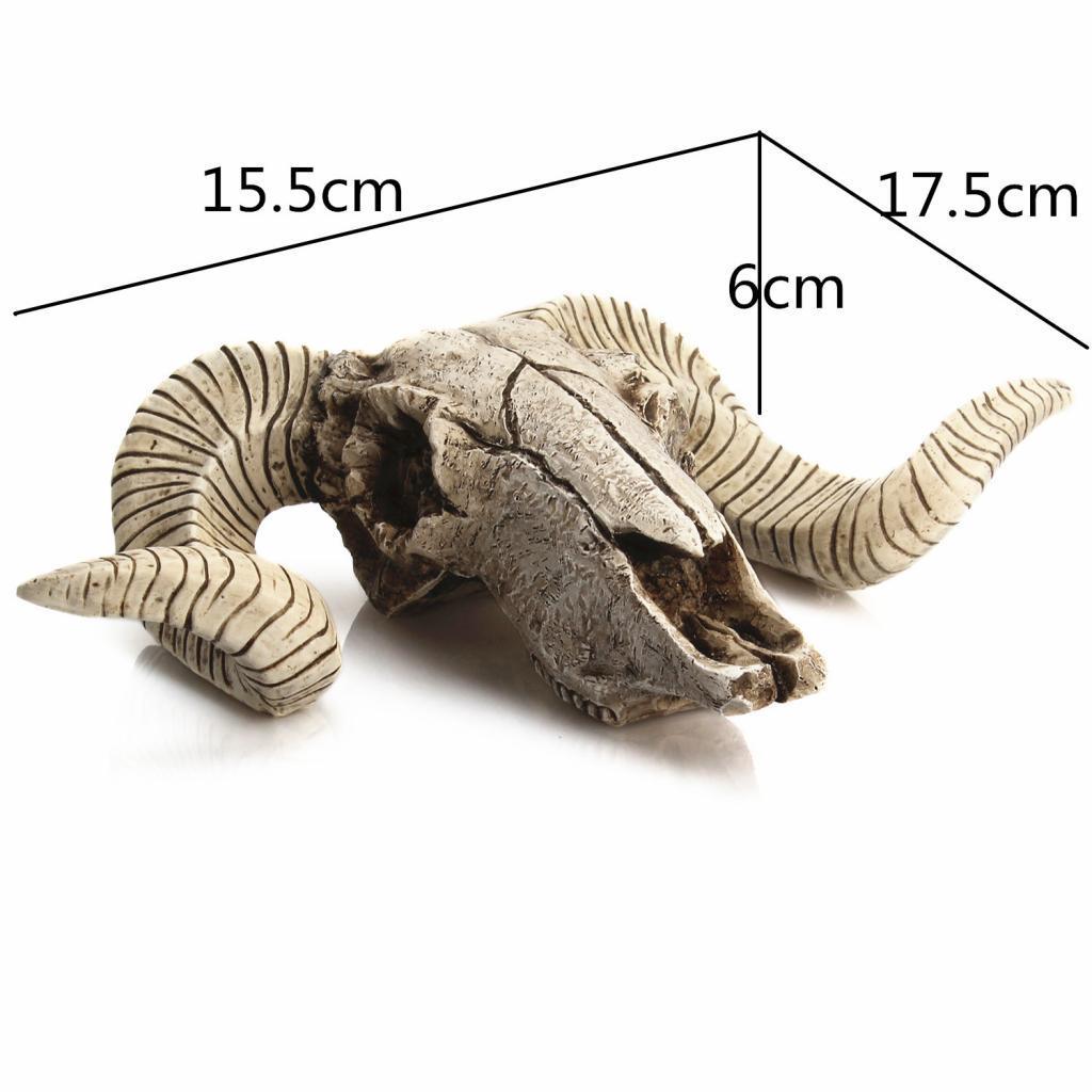 Resin  Art Wall Decor Mount Decoration Skull Sheep's head Head