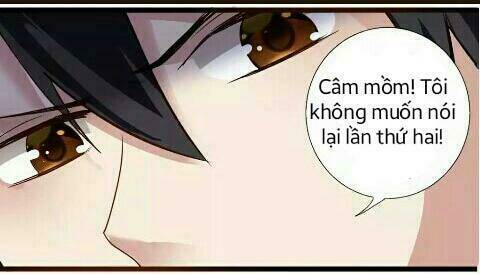 1 nửa hoàn hảo của ceo chapter 1 5