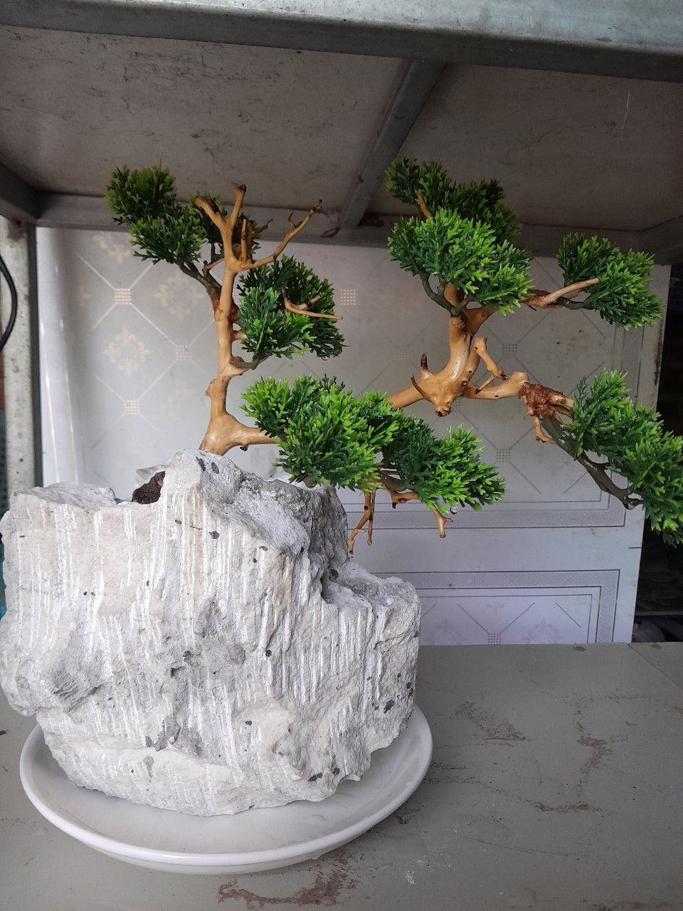 Đá Trồng Cây - Chậu Đá Trồng cây bonsai