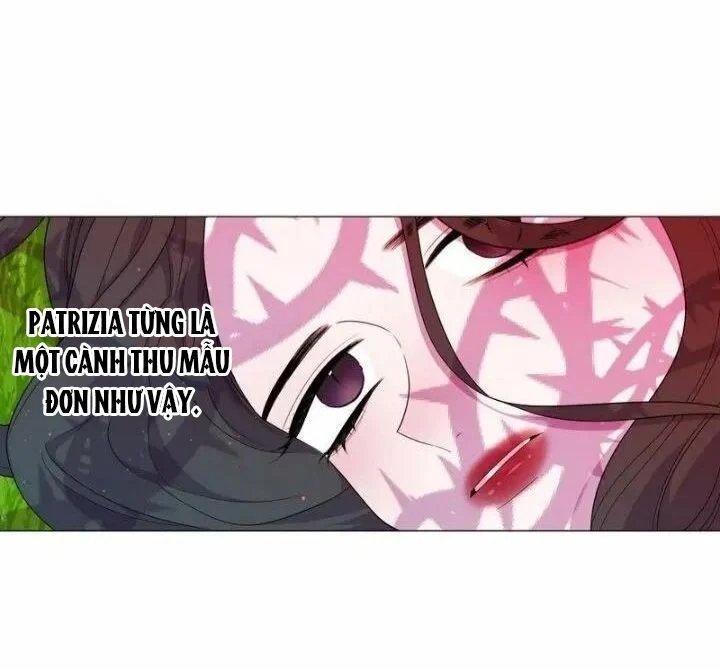 từ tiểu thư thành hoàng hậu - lady to queen chapter 38.5 23