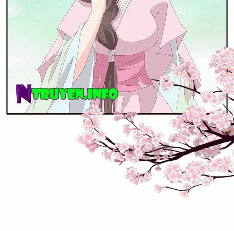 tướng quân mời ra trận chapter 104 20