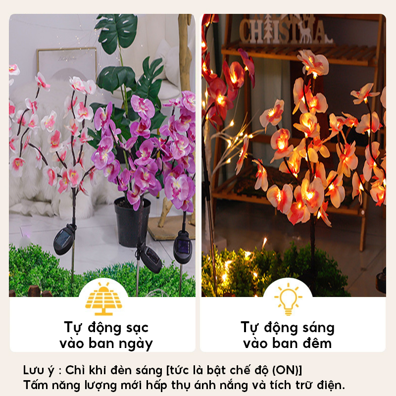 Đèn Trang Trí Năng Lượng Mặt Trời Hoa Phong Lan, Tấm Năng Lượng Silicon Tinh Thể, Tự Động Sáng - DA3061
