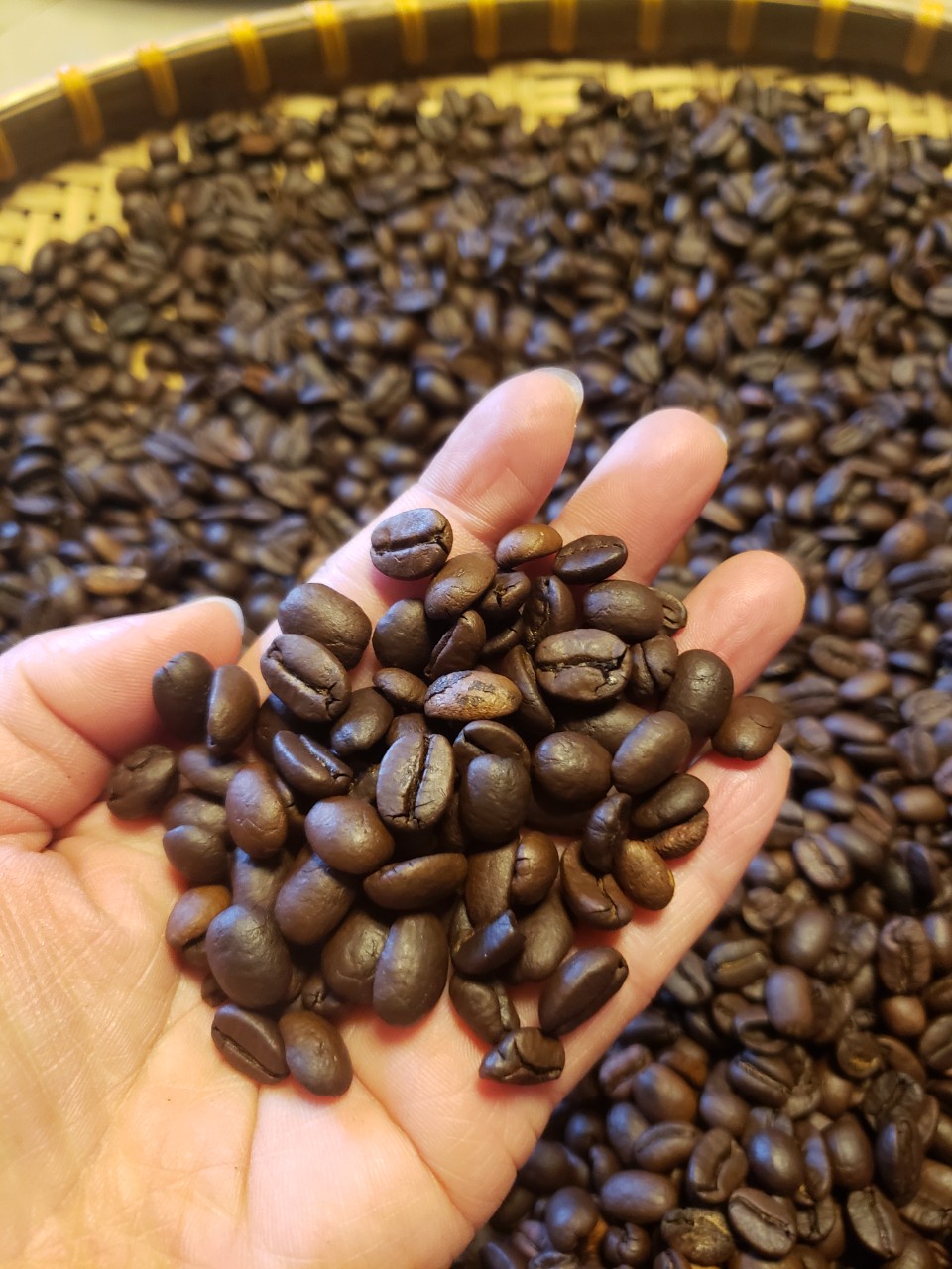 Cà phê Moka Cầu Đất pha phin rang mộc