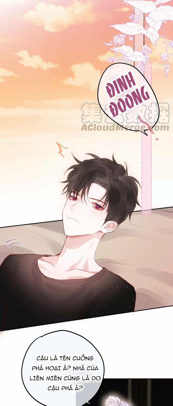 trú dạ liên miên chapter 65 27