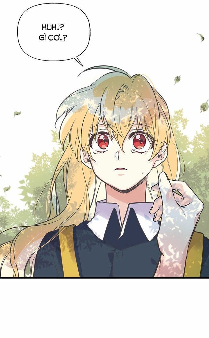 chị tôi đã nhặt về một nam chính quyến rũ chapter 23 23