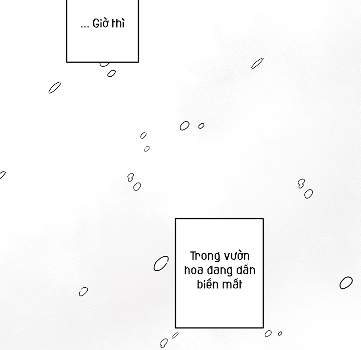 bữa tiệc của những đóa hoa chapter 25 151