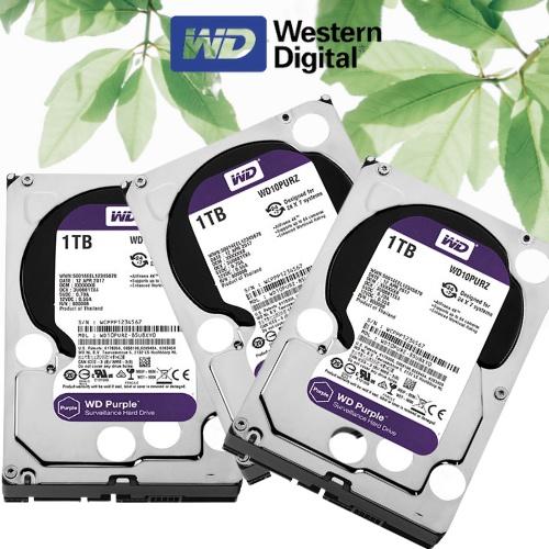 Ổ cứng HDD 1TB WD Purple WD10PURZ, Ổ cứng chuyên dụng dùng cho đầu ghi hình camera. Bảo hành 24 tháng