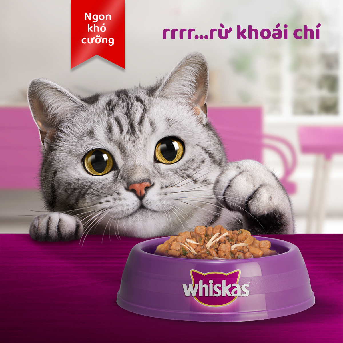 WHISKAS Tasty Mix Thức ăn cho mèo lớn dạng sốt 70g (mix vị) - 12 túi