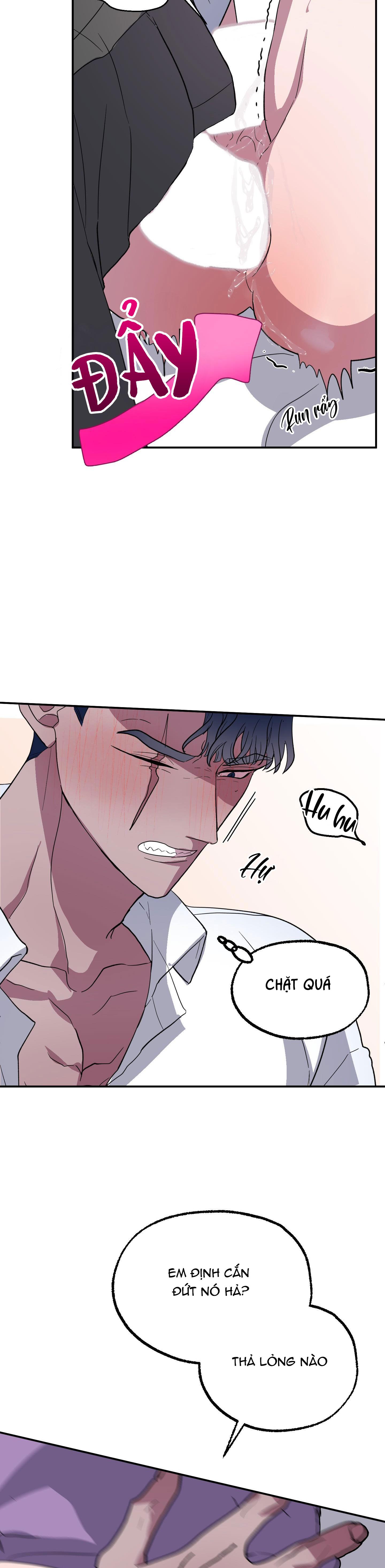 cá mập và cô dâu thỏ chapter 2 28