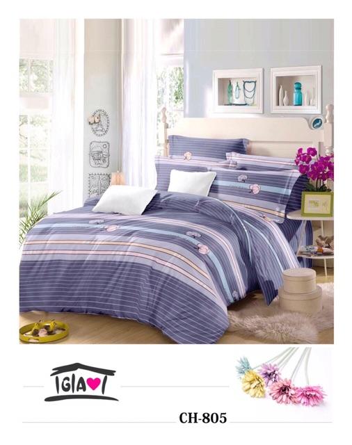Bộ drap hàn quốc 100% cotton m8-m6