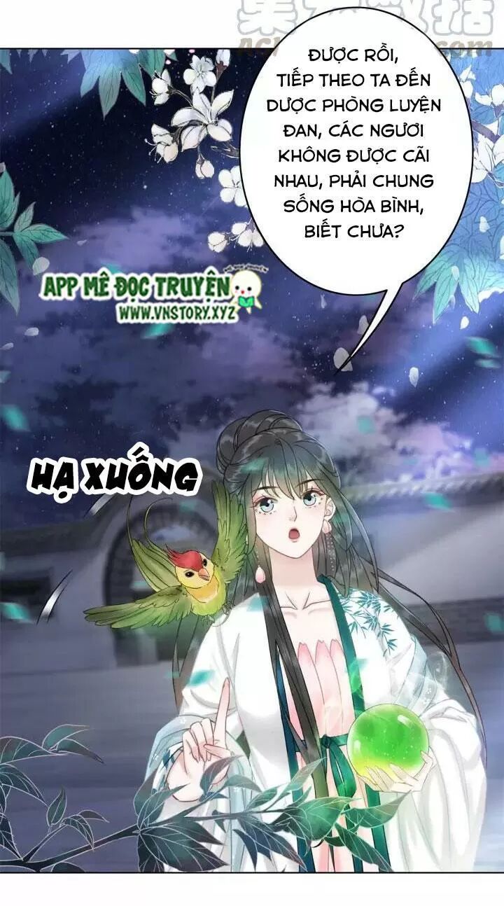 cực phẩm phế vật tiểu thư chapter 108 17