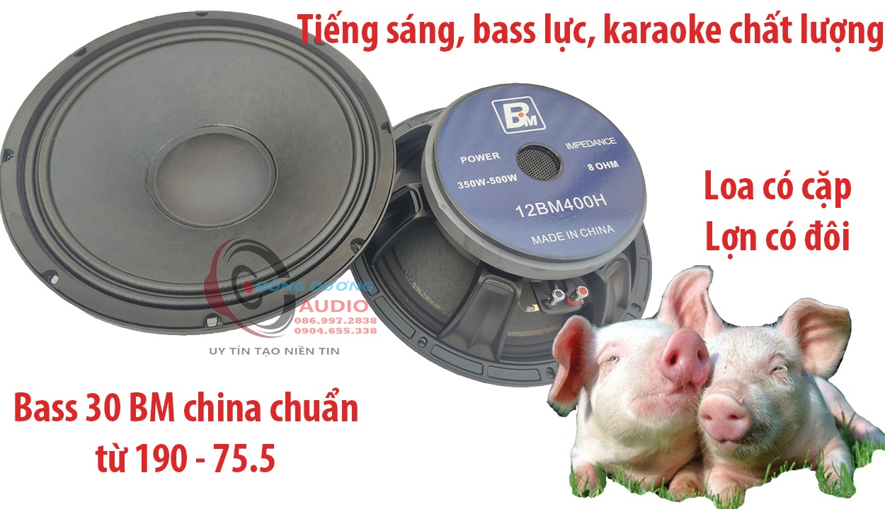 CỦ LOA KARAOKE BASS 30 BM AUDIO HÀNG NHẬP KHẨU - TỪ 190 CÔN 76 - GÂN VẢI 2 XẾP - CỦ LOA 3 TẤC - CỦ LOA RỜI