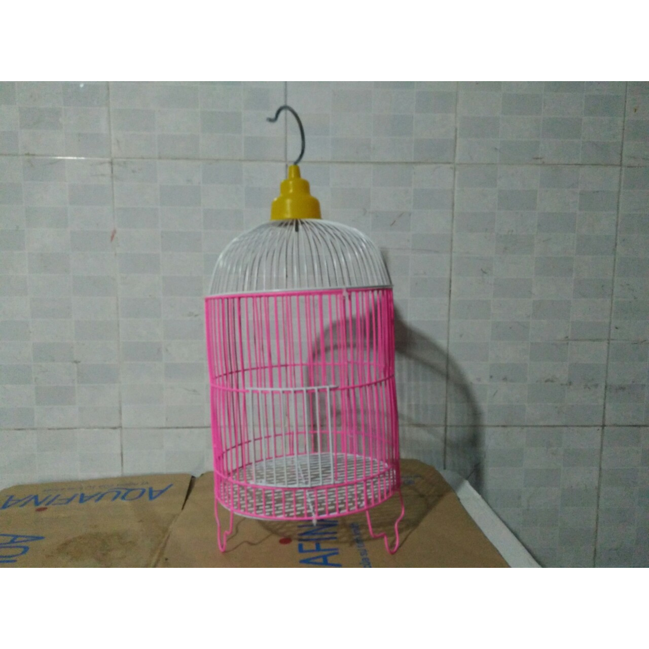 Giá ốc vặn hiện nay ốc vặn giống bao nhiêu tiền 1kg Kỹ thuật nuôi ốc vặn  thương phẩm  Y Khoa Books