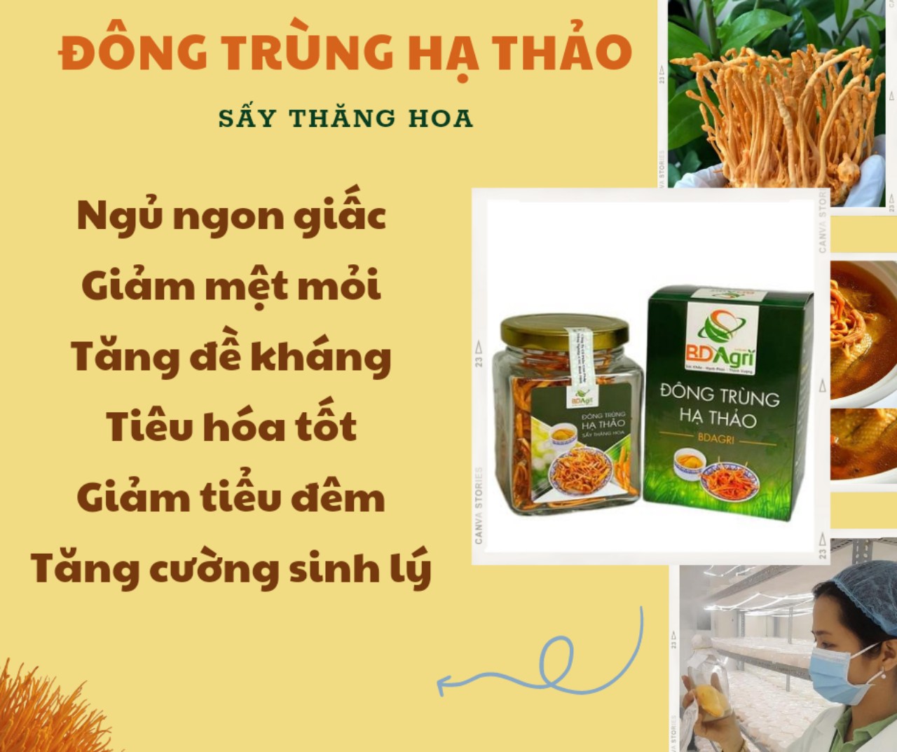 ĐÔNG TRÙNG HẠ THẢO BDAGRI SẤY THĂNG HOA (LỌ 10G) LOẠI TIÊU CHUẨN