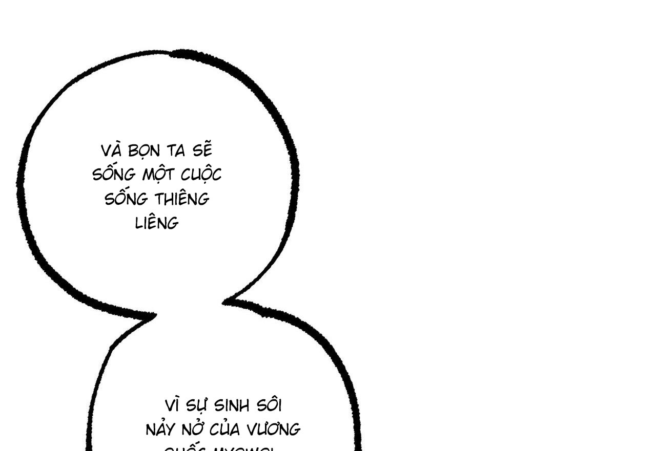 những chú thỏ của hapypy chapter 59 270